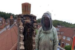 مهمانان ناخوانده داخل دیوار، صاحبخانه را شوکه کرد