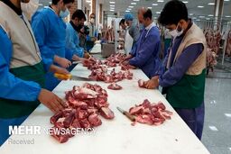  آیا می‌توان اعضای گوسفند قربانی را بفروشیم؟