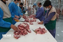  آیا می‌توان اعضای گوسفند قربانی را بفروشیم؟