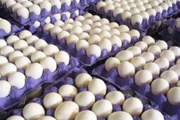 قیمت تخم مرغ بی سر و صدا پرواز کرد !