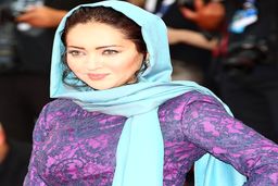 بیوگرافی نیکی کریمی