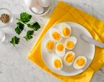 خوردن تخم مرغ را به این دلایل فراموش نکنید + جزئیات مهم