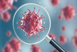 آخرین آمار کرونا | افزایش تعدا فوتی ها