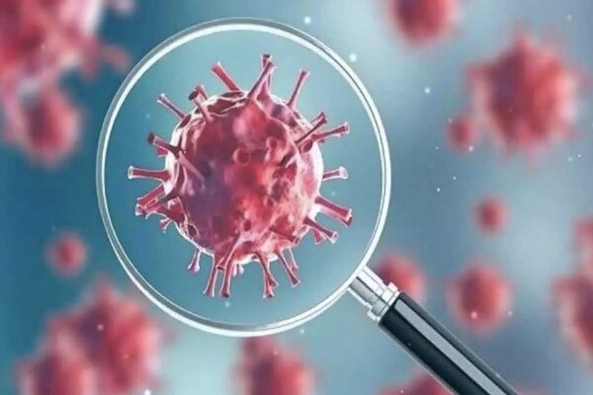 آمار جدید کرونا |‌ فوت ۳ هم‌وطن دیگر