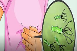 میکروب‌های معده را با این روش از بین ببرید! | خوردنی‌هایی که میکروب‌های معده را نابود می کنند