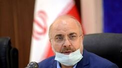 واکنش قالیباف درباره طرح صیانت از کاربران در فضای مجازی