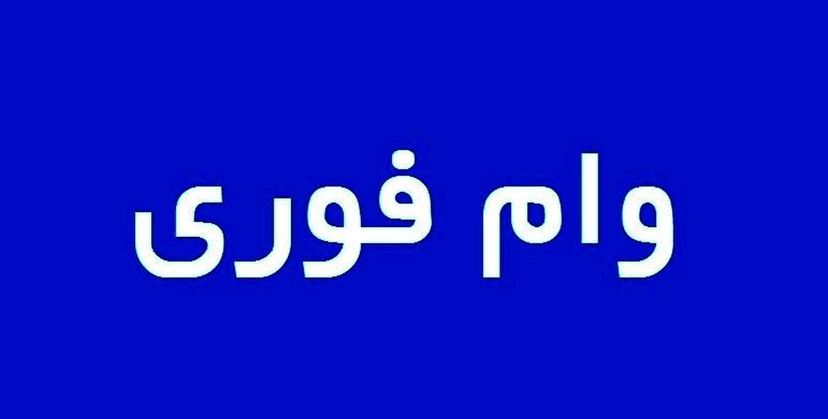 بدون ضامن از تامین اجتماعی وام بگیر | وام 200 میلیونی به محض ثبت نام وام در حساب شما