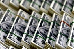 ریزش باورنکردنی دلار در راه است!؟ /آیا باید دارایی‌های‌مان را به «ریال» تبدیل کنیم؟