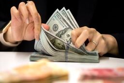 افزایش شدید قیمت دلار؛ دقایقی قبل | قیمت دلار امروز 19 آذر 1401 در بازار