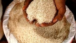 شوک در بازار برنج | قیمت برنج نجومی شد