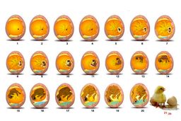 اگر شما هم مانند بسیاری از افراد میخواهید با اندک سرمایه ای که دارید کسب و کار پرسودی راه بیاندازید با ما همراه باشید:

