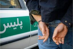 اسیدپاشی به خانم ۳۰ ساله در خیابان دامپزشکی تهران | متهم ۲۲ ساله فامیل شوهر از آب درآمد!