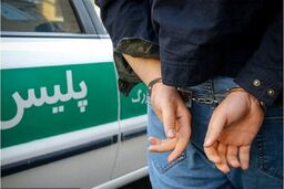 اسیدپاشی به خانم ۳۰ ساله در خیابان دامپزشکی تهران | متهم ۲۲ ساله فامیل شوهر از آب درآمد!