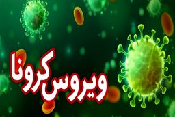 مچ بندی که ضدعفونی می‌کند!+جزئیات