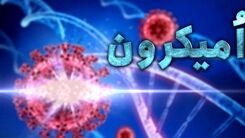 شناسایی فرد مبتلا به اُمیکرون در استان البرز