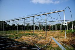 چگونه گلخانه در حیاط خود بسازیم؟