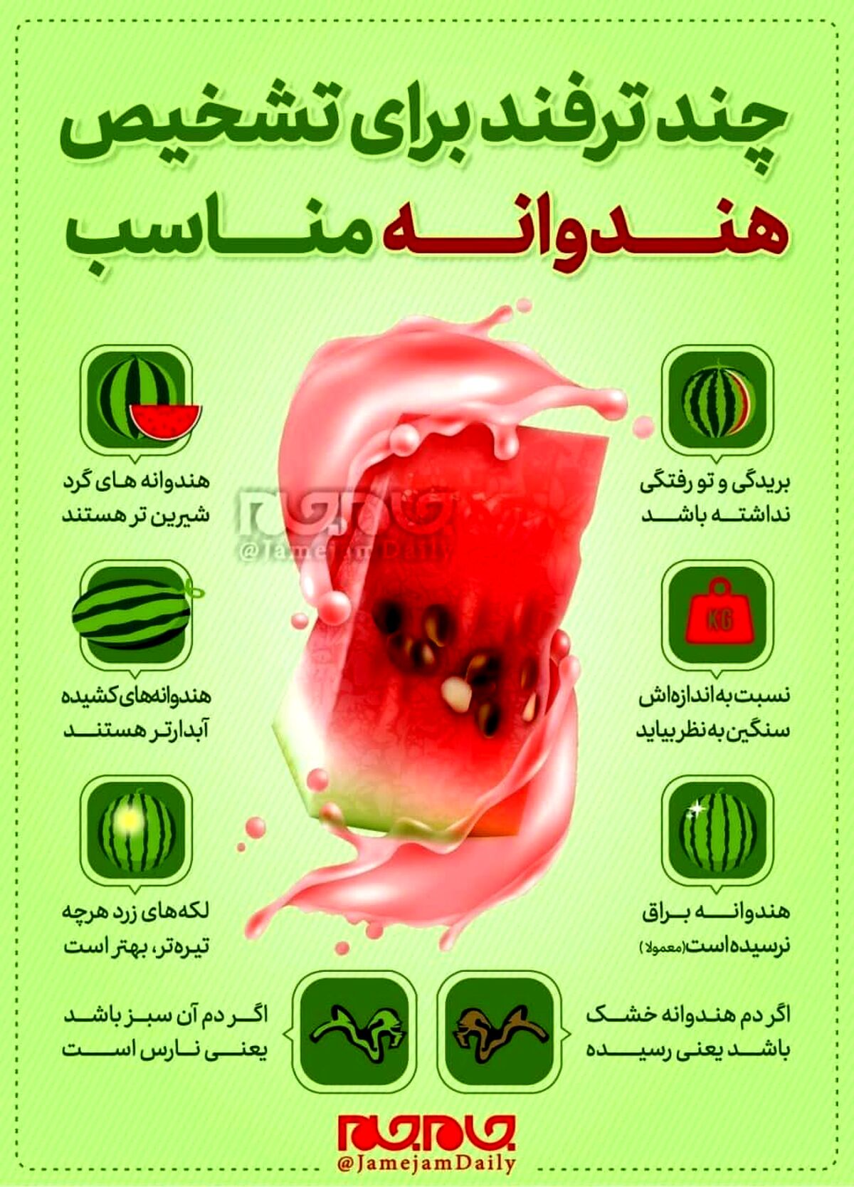 تشخیص هندوانه مناسب در شب یلدا+اینفوگرافی