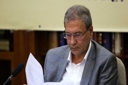 سخنگوی دولت: در تله رسانه های بدخواه وطن نیفتیم