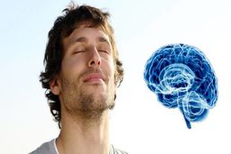 اگر حافظه قوی می خواهید ، این میوه را فراموش نکنید | بهترین میوه برای فعالسازی مغز