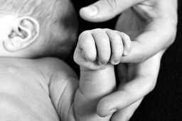 فروش نوزاد ۱۵ روزه به قیمت ۱۲۰ میلیون!