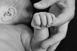 فروش نوزاد ۱۵ روزه به قیمت ۱۲۰ میلیون!