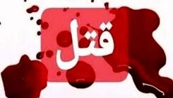 خودکشی داماد عصبانی پس از قتل مادرزنش 