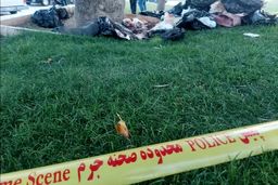 هویت جسد مثله‌شده زنی در میدان آزادی مشخص شد | انگیزه قتل چه بوده است؟