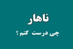 ناهار چی بپزم؟ | 30 مدل غذای خوشمزه و سریع برای ناهار