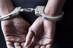 قمه کشی بچه‌پولدارهای شرور به خاطر دختران | انتشار فیلم های شرورانه در فضای مجازی