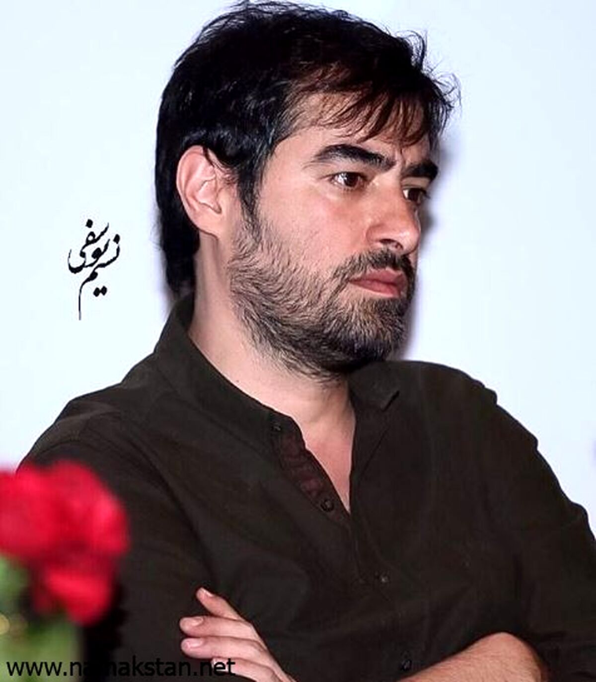 تغییر چهره حیرت انگیز زن شهاب حسینی بعد از طلاق | زندگی در آمریکا به زن سابق شهاب حسینی ساخت + عکس