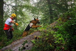 جوان دست و پا شکسته، در جنگل‌های کلاردشت پیدا شد!