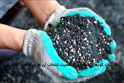 ترکیبات کودهای شیمیایی و اهمیت انتخاب آن ها در صنعت کشاورزی