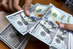 دلار افت کرد/قیمت دلار قیمت (۱۴۰۰/۰۱/۳۱)+ جدول