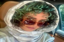 زندگینامه الناز شاکردوست 