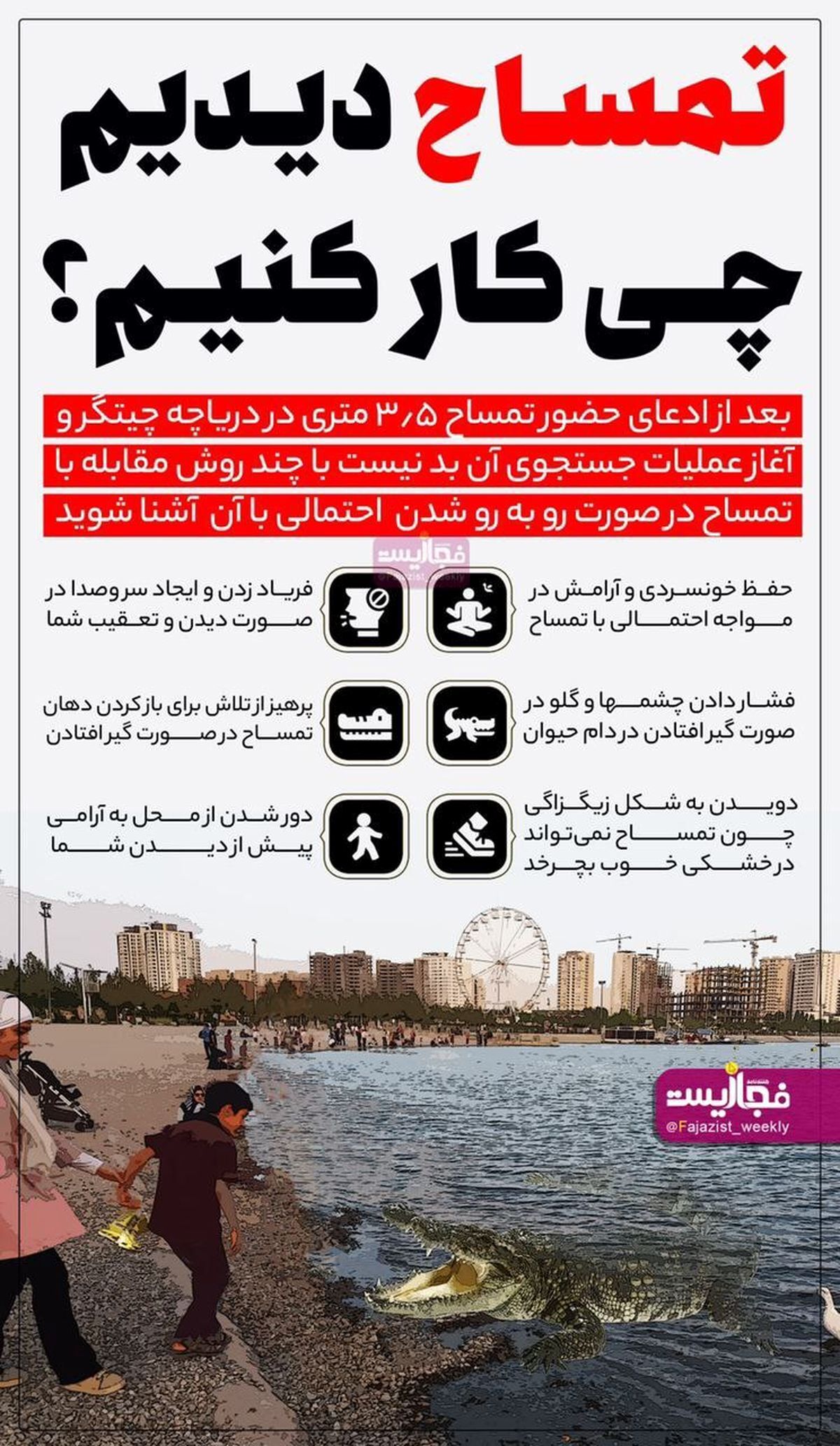 تمساح دیدین این کارها را انجام دهید + جزئیات