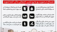 تمساح دیدین این کارها را انجام دهید + جزئیات
