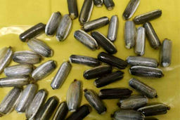 قاچاقچی مسلح با ۳۶۰ کیلو تریاک دستگیر شد