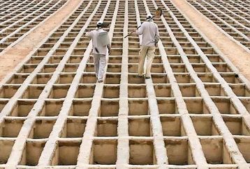 اقدام عجیب یک پیرمرد سر قبر زن! | این پیرمرد از شدت کینه سر قبر این زن می رفت و سر مزار او ادرار می کرد! + جزئیات