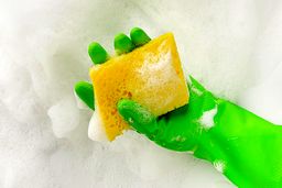 روش صحیح ضدعفونی اسکاچ ظرفشویی | میکروب ها را با این روش از بین ببرید 