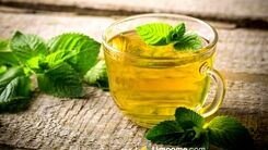 شکم و پهلوتون را تا عید آب کنید | معجزه این ۵ دمنوش برای لاغری شکم و پهلو  + روش تهیه