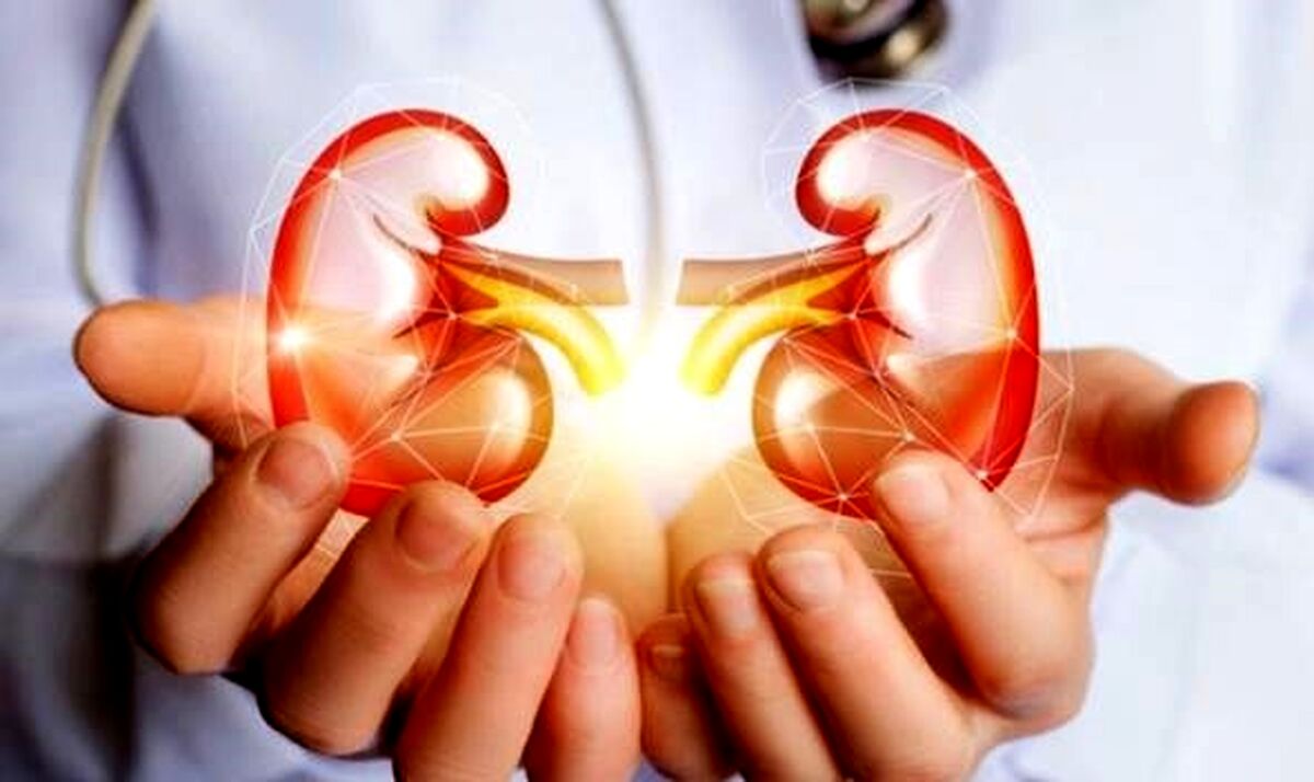 اگر این علائم را دارید کلیه شما در خطر است ! | فورا به پزشک مراجعه کنید !