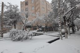 هشدار جدی هواشناسی | بارش برف و باران در ۱۸ استان از فردا 