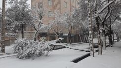 برف و باران شدید در راه تهران | تهرانی ها خودشان را برای سرما آماده کنند