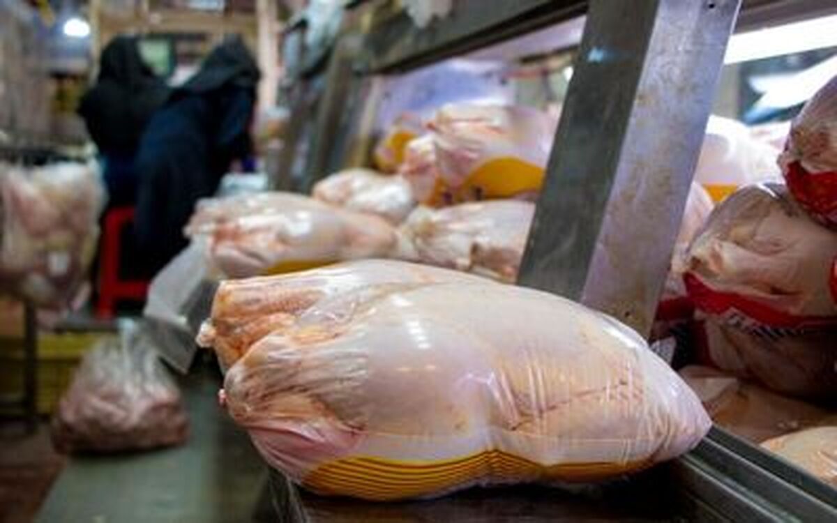 قیمت مرغ سر به فلک کشید| امروز قیمت مرغ چقدر شد؟