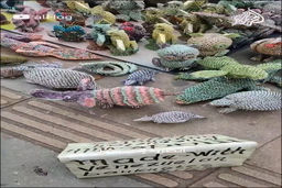 عجیب اما واقعی/عروسک سازی با اسکناس در ونزوئلا+فیلم