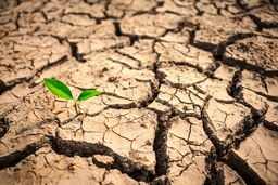 ​راه حل خشکسالی در ایران پیدا شد صرفه جویی تا 85 درصد!

