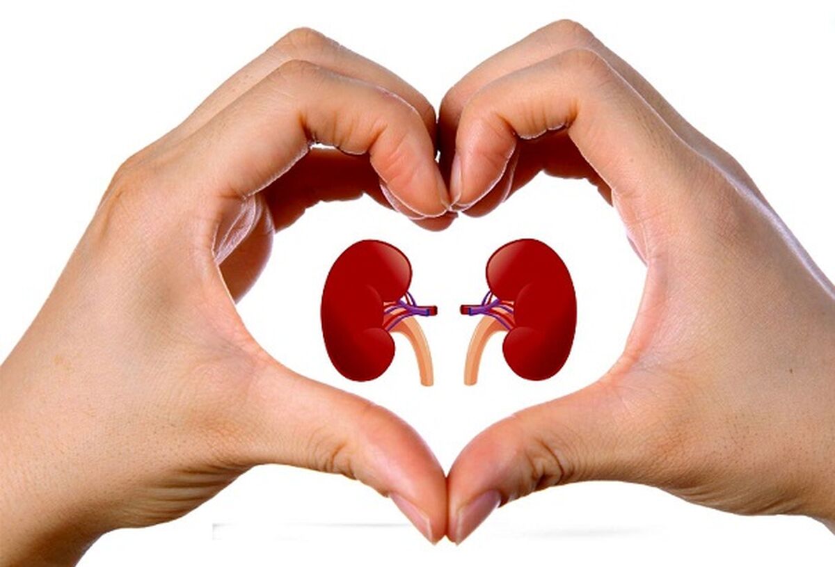 علائم سنگ کلیه را بشناسید!