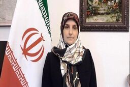 ماجرای حمله با چاقو به خانم سفیر ایرانی | دانمارک فرد مهاجم را متهم کرد