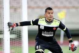 اخبار پرسپولیس: حامد لک عذرخواهی کرد؟
