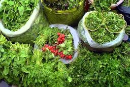 اتفاق عجیب و غریب در بازار | سبزی خشک‌شده هم‌قیمت گوشت شد؟